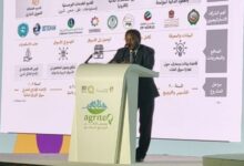 السفير محمد خير