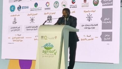 السفير محمد خير