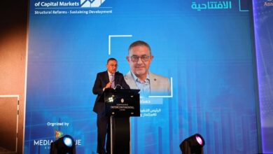 حسام هيبة الرئيس التنفيذي لهيئة الاستثمار