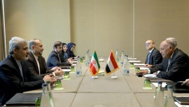 لقاء وزير الخارجية المصري ونظيره الإيراني