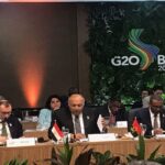 وزير الخارجية المصري خلال مجموعة العشرين