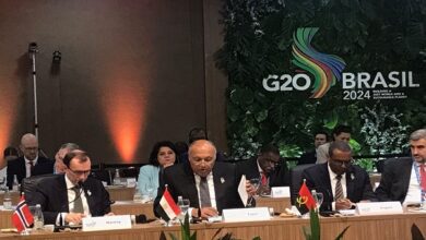 وزير الخارجية المصري خلال مجموعة العشرين