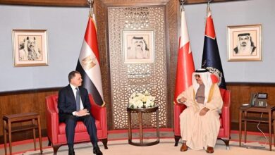 وزيرا داخلية مصر والبحرين