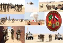 التدريب المصري الباكستاني