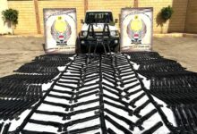 الأسلحة المضبوطة