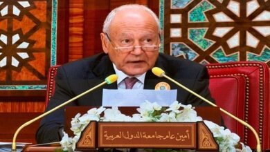 أحمد أبو الغيط