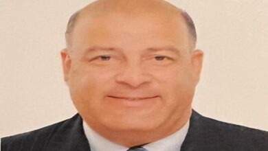 المهندس حسام الدين عباس
