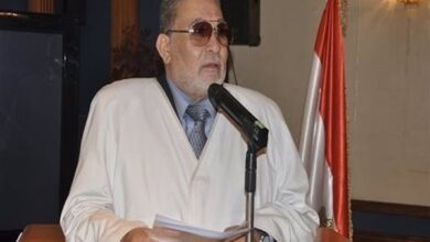 المهندس محمد عبدالخالق الشبراوي
