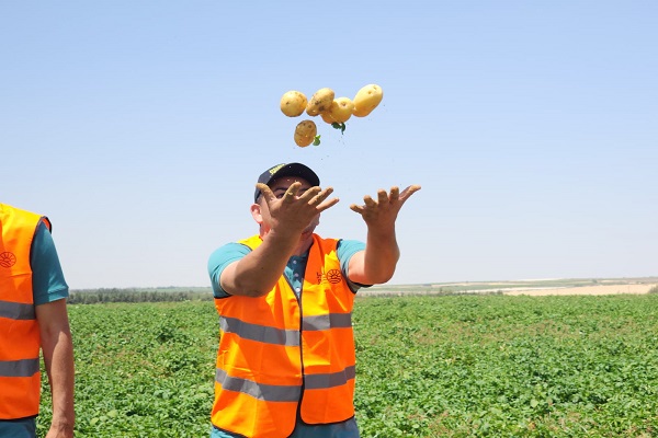 مشروع مستقبل مصر