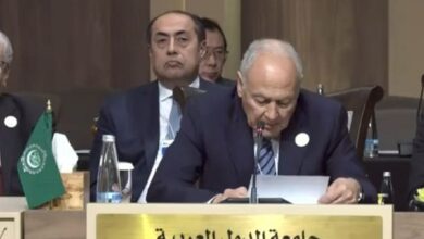 أحمد أبو الغيط