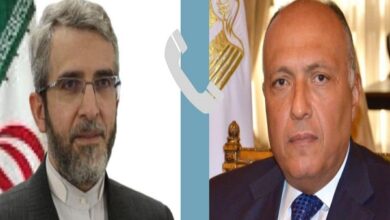 سامح شكري وعلي باقري