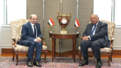 وزيرا خارجية مصر واليمن