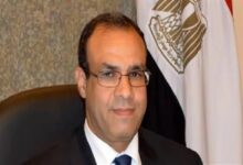 الدكتور بدر عبد العاطي وزير الخارجية والهجرة