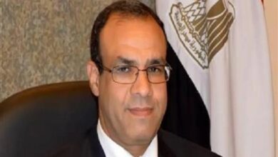 الدكتور بدر عبد العاطي وزير الخارجية والهجرة