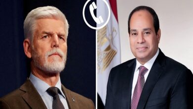 الرئيس السيسي ونظيره التشيكي