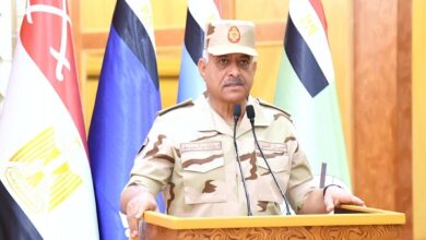 الفريق أول عبدالمجيد صقر وزير الدفاع