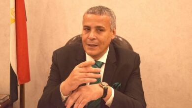 عماد قناوي رئيس شعبة المستوردين