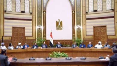 لقاء الرئيس السيسي مع وفد مؤتمر القوى السياسية والمدنية السودانية