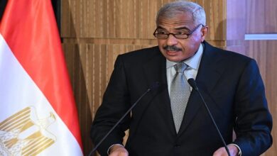 هشام طلعت مصطفى