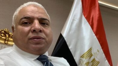 علاء نصر الدين