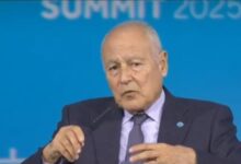 الإنتاجية في العصر الرقمي - أبو الغيط