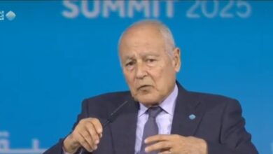 الإنتاجية في العصر الرقمي - أبو الغيط