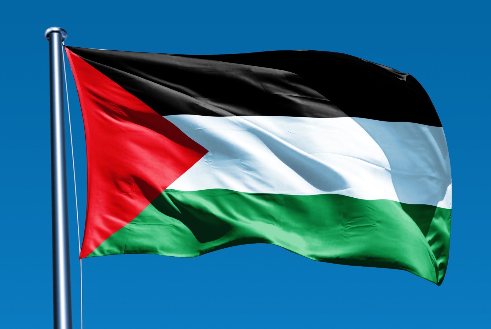 علم دولة فلسطين