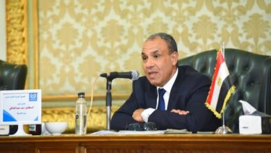 وزير الخارجية المصري د.بدر عبدالعاطي