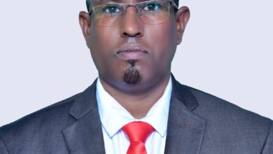 محمود إسماعيل عيون