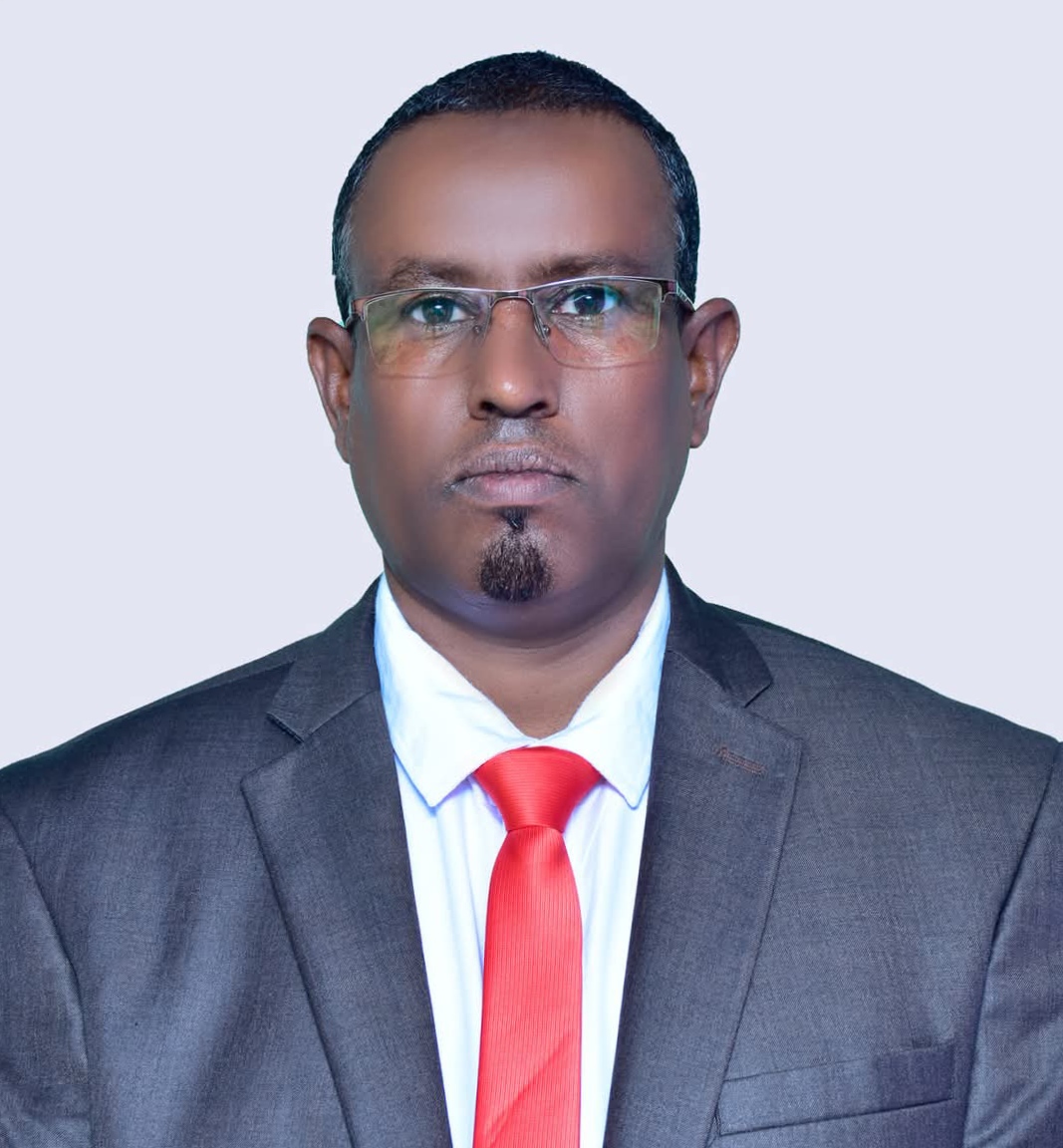 محمود إسماعيل عيون