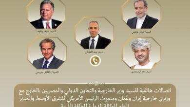 وزير الخارجية المصري يقود اتصالات إقليمية ودولية لاحتواء التصعيد بشأن الملف النووي الإيراني