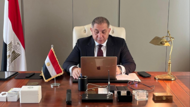 ندوة افتراضية لتعزيز الاستثمار المصري.