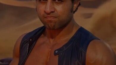 الفنان/ ناصر عبد الحفيظ