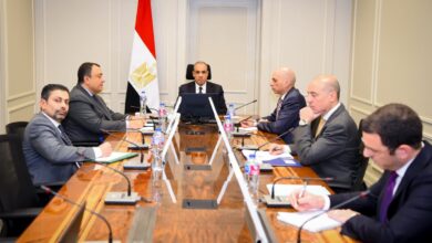 كلمة وزير الخارجية المصري خلال اجتماع مصر والخليج حول تطورات المنطقة