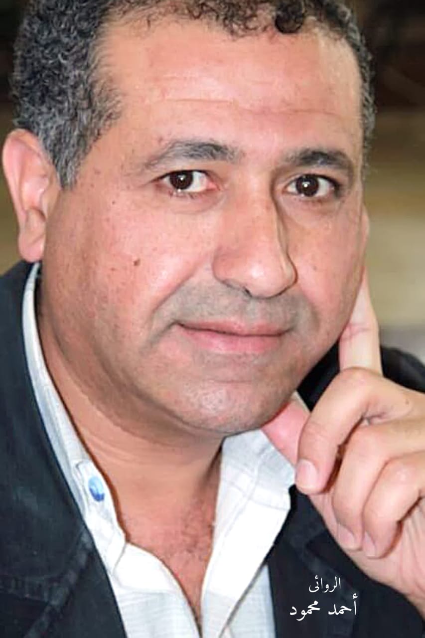 الكاتب الصحفى والروائى أحمد محمود