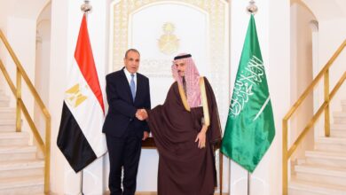 لقاء وزيري خارجية مصر والسعودية في الرياض