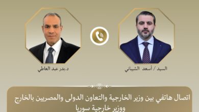 وزير الخارجية المصري يتلقى اتصالاً سورياي لبحث العلاقات الثنائية