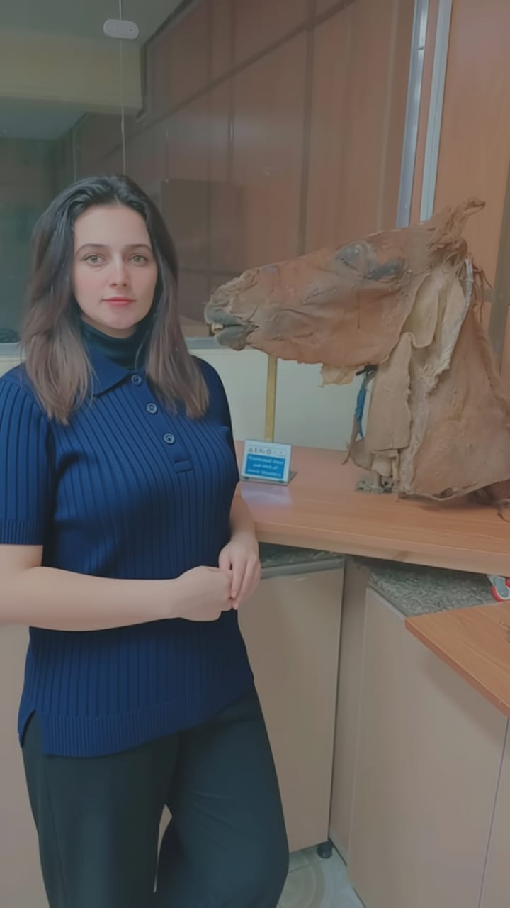 الكاتبة الصحفية مريم بدران