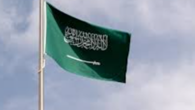 لقطات من فعاليات ملتقى الطائف للعطريات توضح مشاركة الوفود الدولية والورش العلمية لابتكار حلول تقنية في استخلاص الزيوت العطرية الفاخرة.